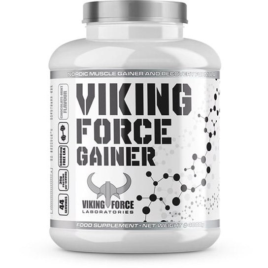 فورس گینر وایکینگ ۴ کیلویی | Viking Force Gainer